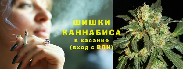 2c-b Инта