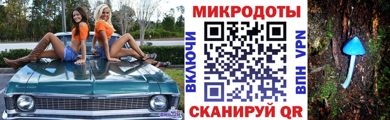 Купить закладки  Знаменск  Галлюциногенные грибы прущие грибы 