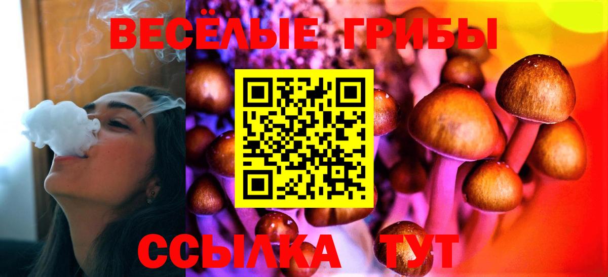 Псилоцибиновые грибы прущие грибы  Вход с VPN  Знаменск 