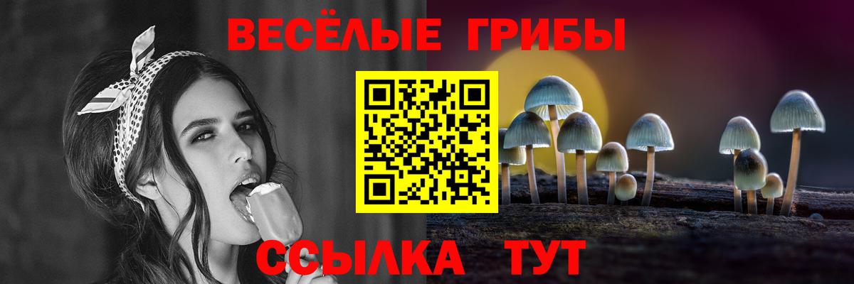 Псилоцибиновые грибы мицелий Знаменск